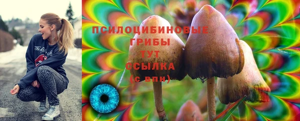 гашиш Арсеньев