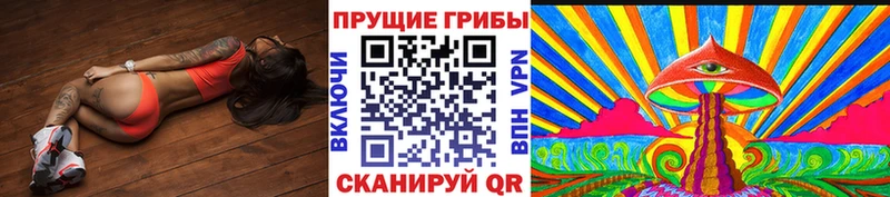 Галлюциногенные грибы Psilocybe  Купить  Верхняя Салда 